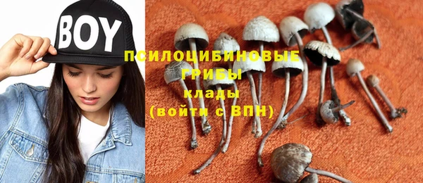 кокс Алексеевка