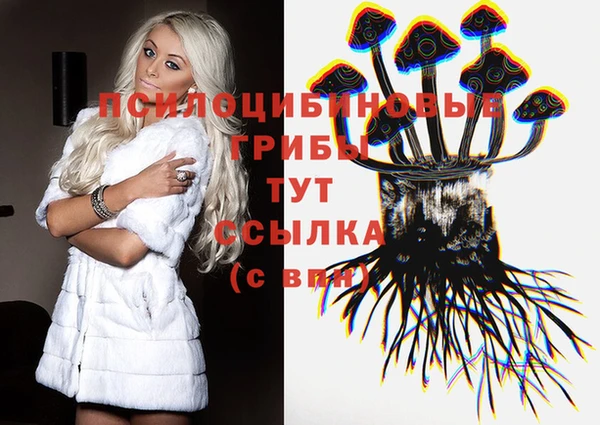 кокс Алексеевка