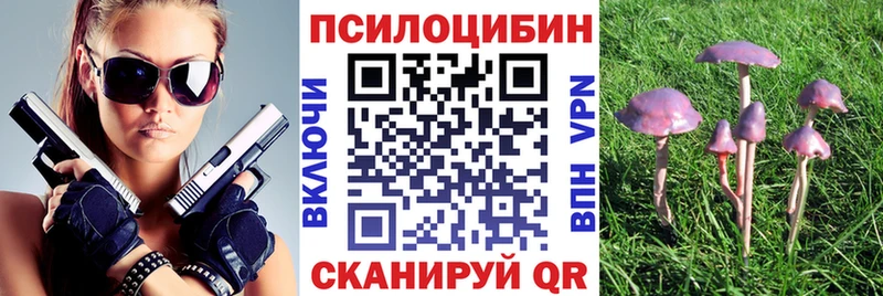 Галлюциногенные грибы Psilocybine cubensis Лермонтов